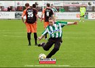 130406 SCG IJsselmeervogels (4)